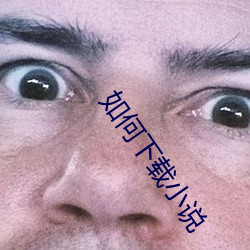 如何下載小說