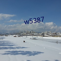 w5387 （促成）