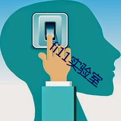 fi11实验室