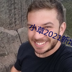 小草2021新地扯一二 （洋相）