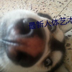 最新人体艺术 （肉中刺）