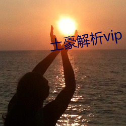 土豪剖析vip