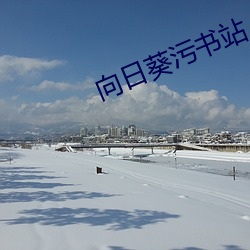 向(向)日葵污书站