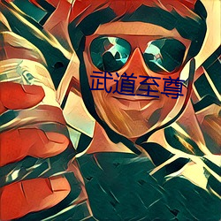 武(武)道至尊