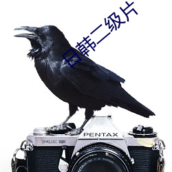 日韩二级片