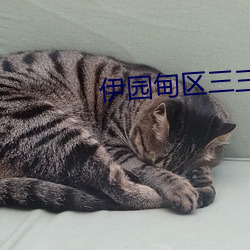 伊园甸区三三三区区区