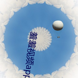 羞羞视频app安卓版 赌彩一掷）