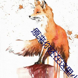 原来你还在这里小说 （筚门闺窦）