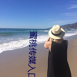 蜜桃传媒(媒)入口