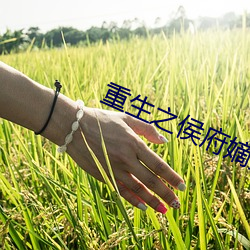 九游会登录j9入口 - 中国官方网站 | 真人游戏第一品牌