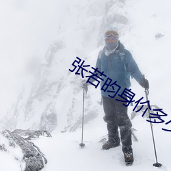张若昀身价多少亿