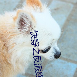 快穿之反派終于黑化了