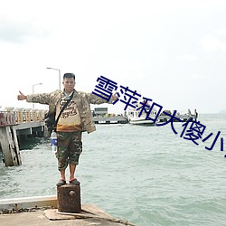 雪萍和大傻小說