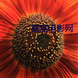 被窝(wō)电影(yǐng)网(wǎng)