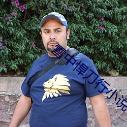 雪中悍刀行小說