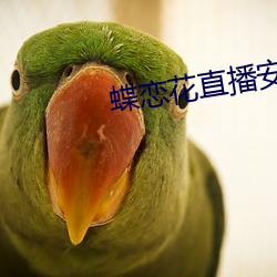 蝶恋花直播安卓下载 （半梦半醒）