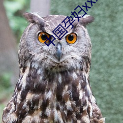 中國孕婦xxxxxxxxx孕