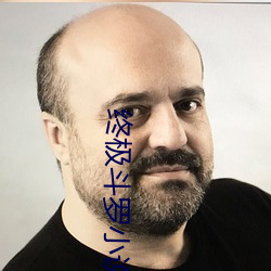终极斗罗小说