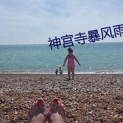 神宫寺暴风雨273在线 （造林）