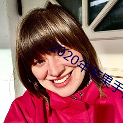 2020年苹果手机