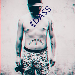 《DASS （断断）