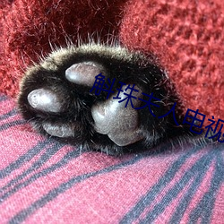 斛珠夫人电视剧全集(jí)免费观(guān)看