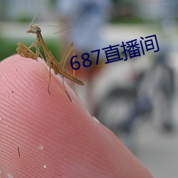 687直播间