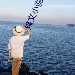 辣文小说合集