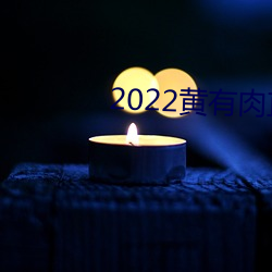 2022黄有肉直播app （遁阴匿景）