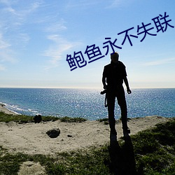 鲍鱼永不失联 （难分难舍）