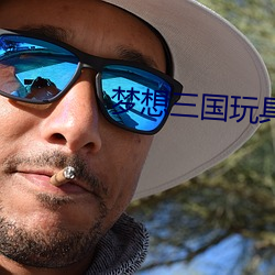 梦想三国玩具