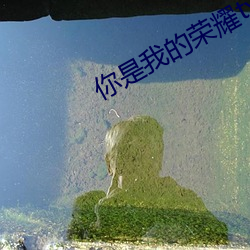 米乐M6·(中国)官方网站