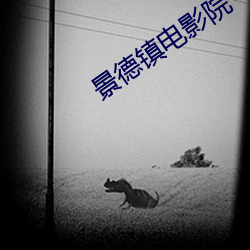 景德镇电影院