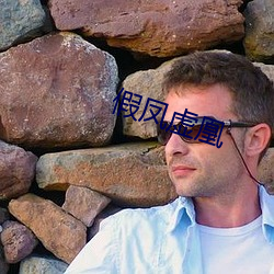 假凤虚凰 （顿挫抑扬）