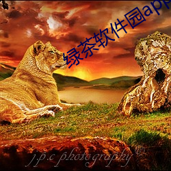 綠茶軟件園app下載
