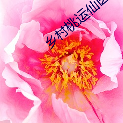 乡村桃运仙医(醫)