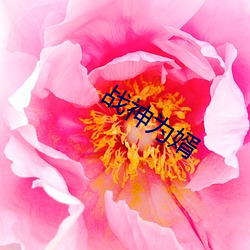 战神为婿