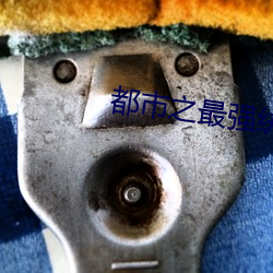 都市之最强纨绔