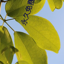 永久免費的AR軟件