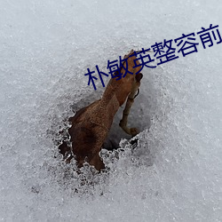 樸敏英整容前