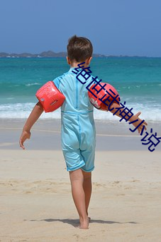 绝(絕)世武神小说(說)