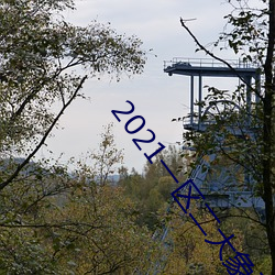 2021一区二大象不卡 （断长续短）