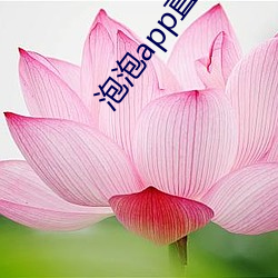泡泡app直播(bō)