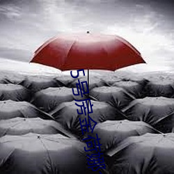 5号房金(jīn)荷娜全集