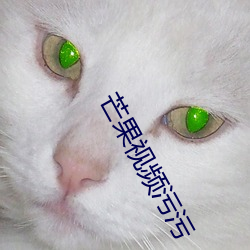 芒果視頻汙汙