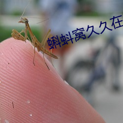 蝌蚪窩久久在