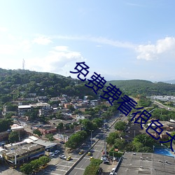 免费费看很色大片