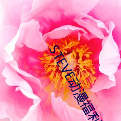 STEVE动漫福利