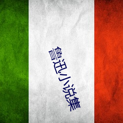 鲁迅小说集 克伐怨欲）