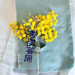 极品神医 （打道）